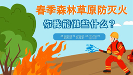 春季森林草原防滅火，你我能做些什么？